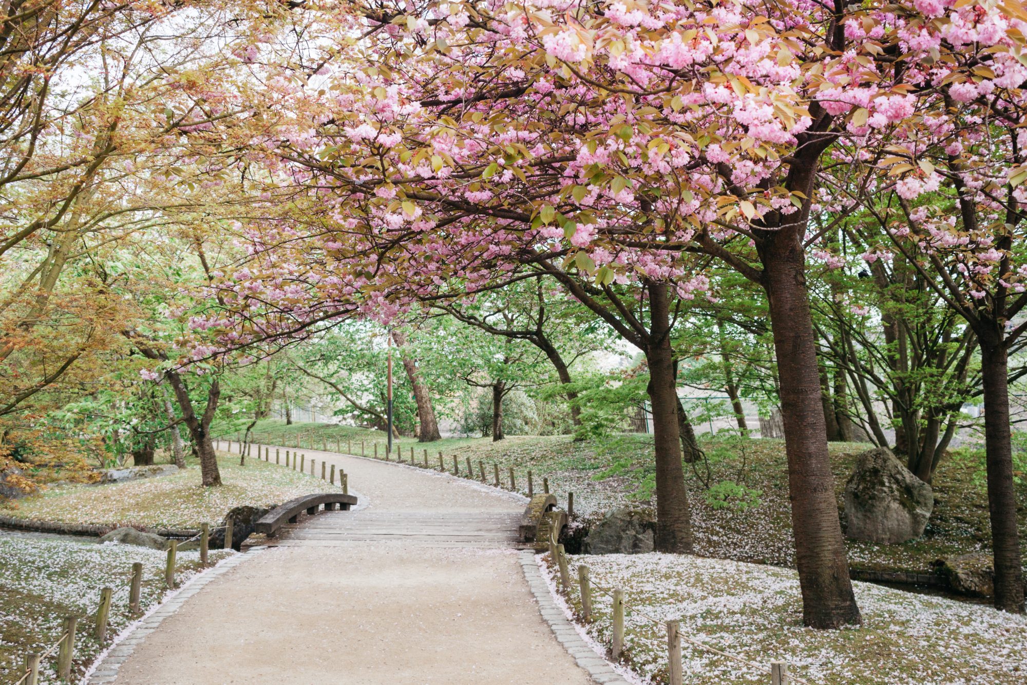 Japanese Garden of Hasselt