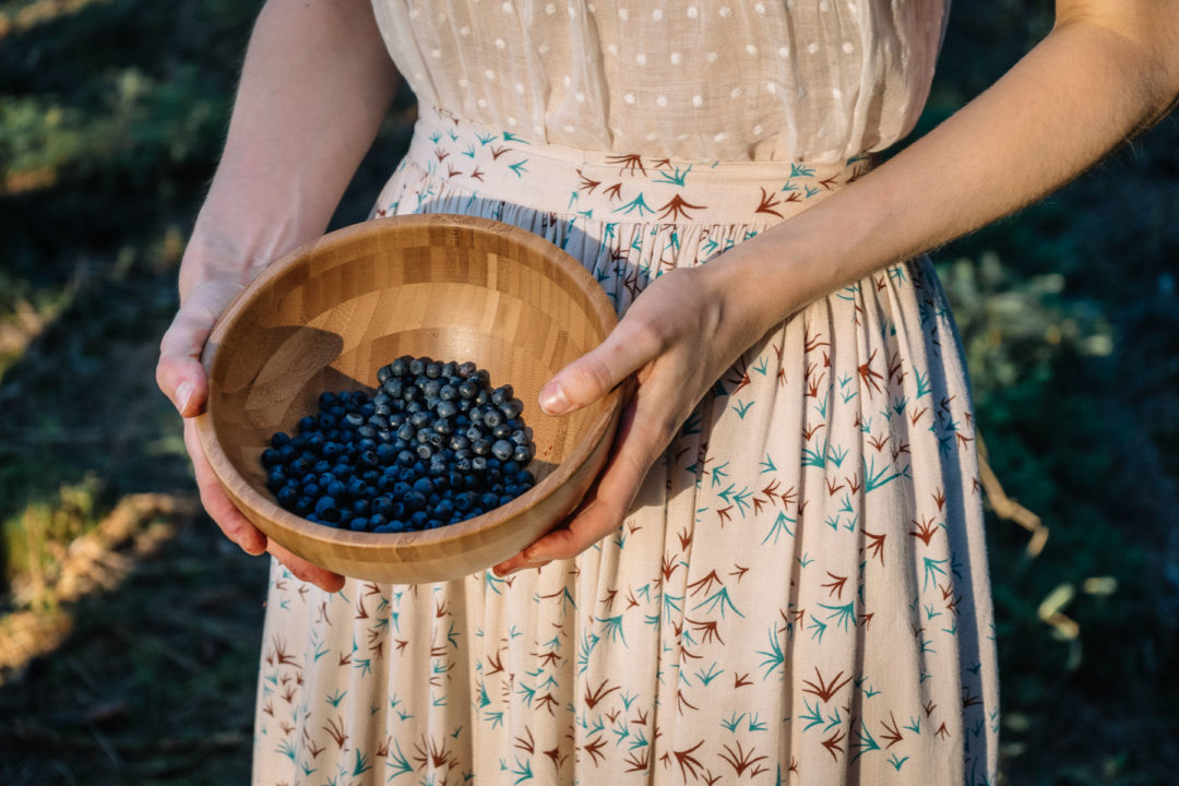 Blueberry picking in July