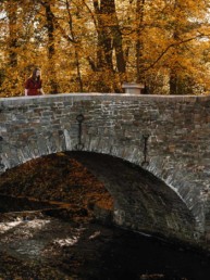 Woman leaning over a bridge surrounded by golden trees during autumn