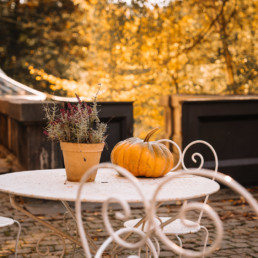 Flowerpot and pumpkin on a vintage table with golden leaves in the background