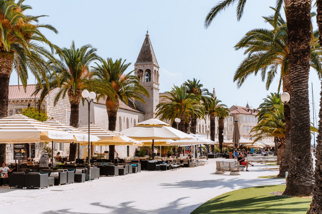palm trees waterfront in trogir