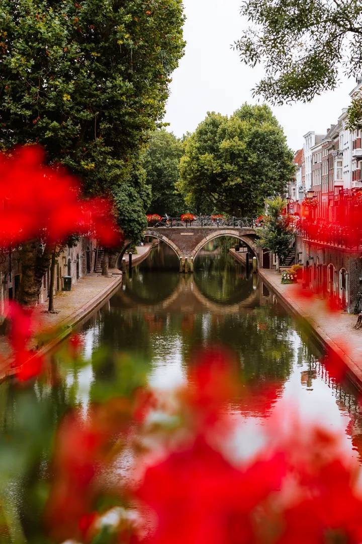 tree lined canals and flowers in utrecht