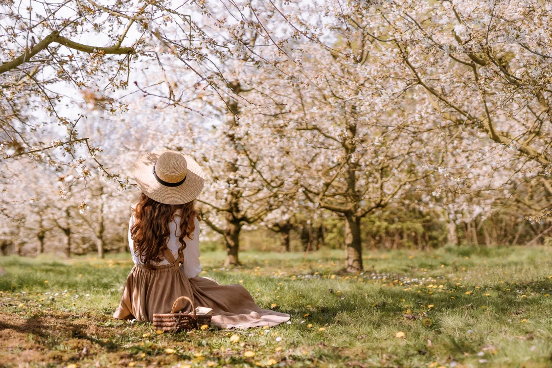 woman in a hat relaxing in an apple orchard in haspengouw
