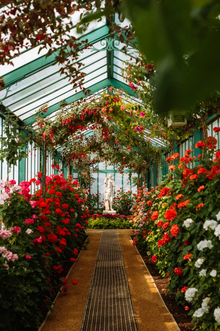 geranium gallery at royal greenhouses of laeken
