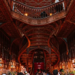 livraria lello porto most beautiful bookstore in world
