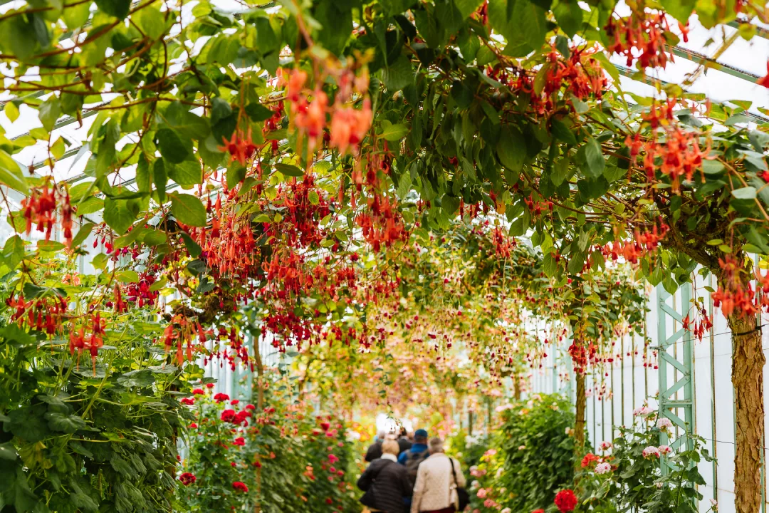 royal greenhouses of laeken flower pavilion