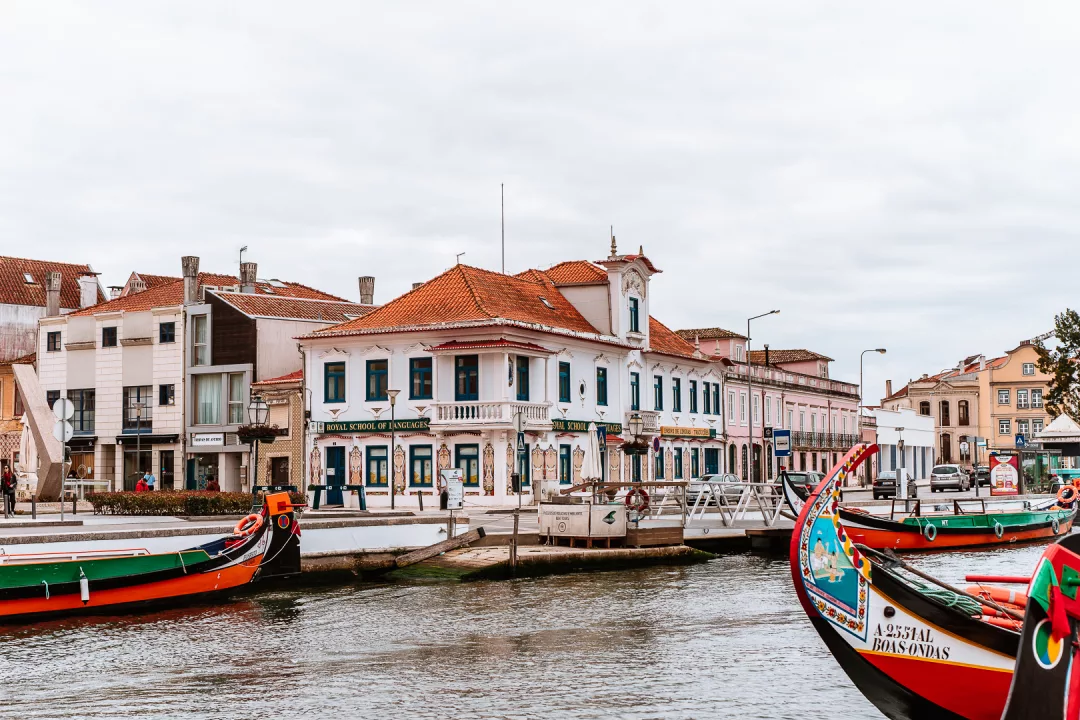 canal and moliceiros boats in aveiro