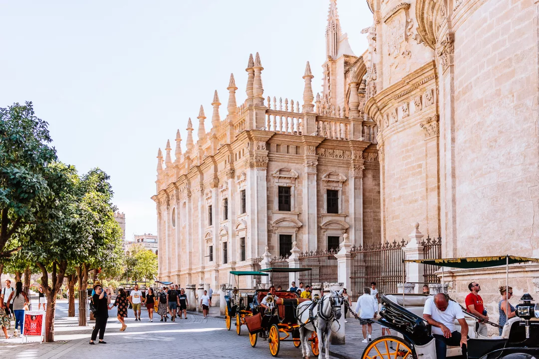 horse carriages in front of the seville cathedral