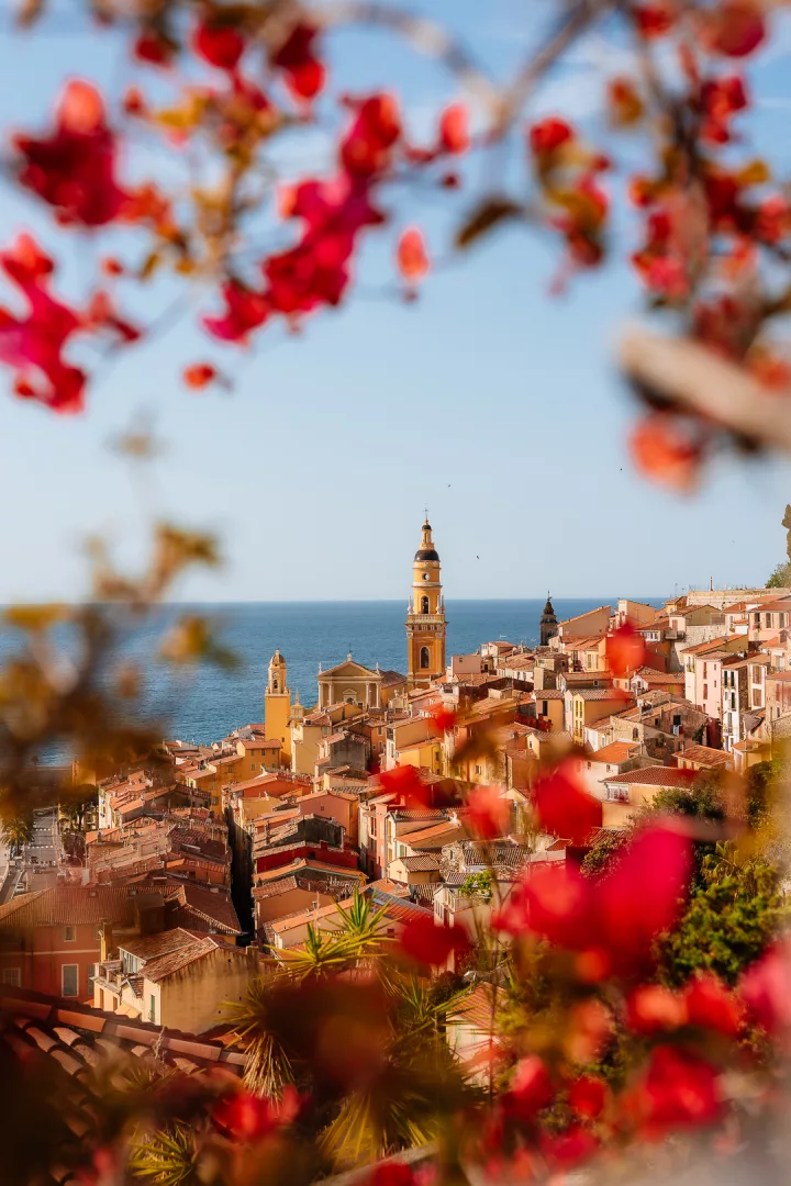menton viewpoint with flowers