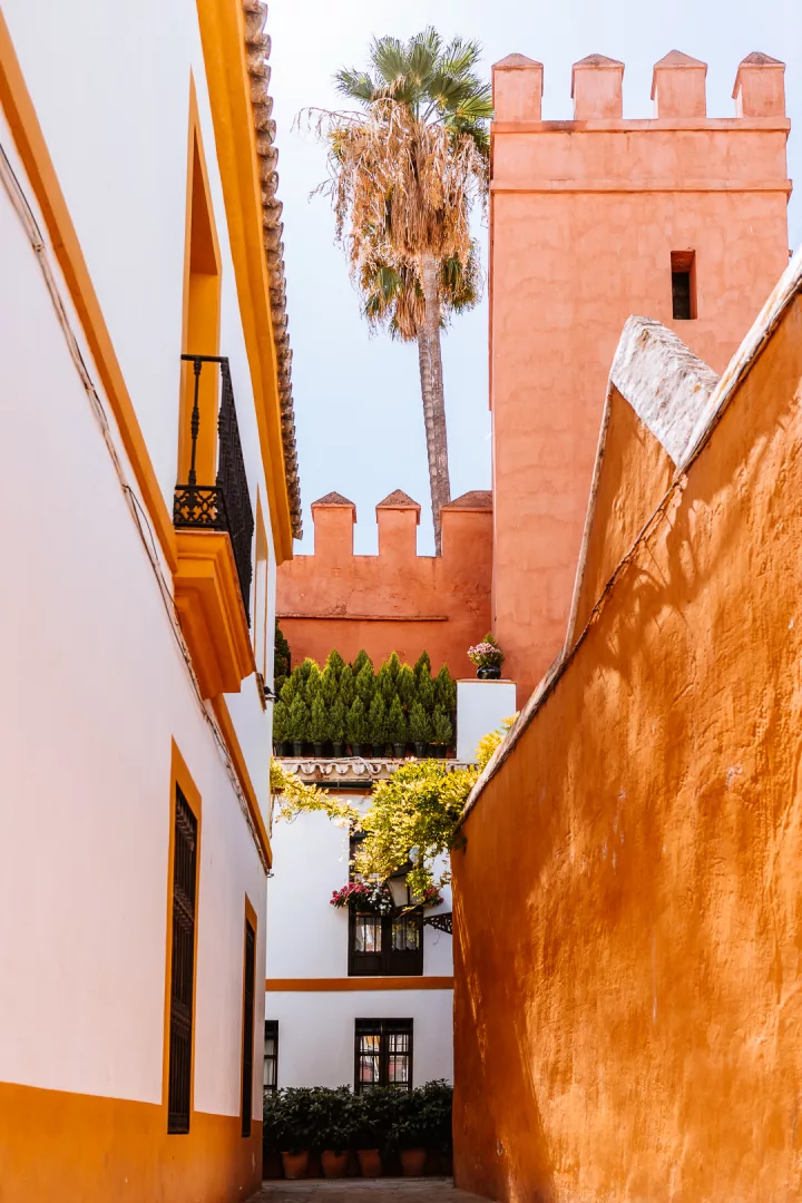 palm trees and colorful houses in seville