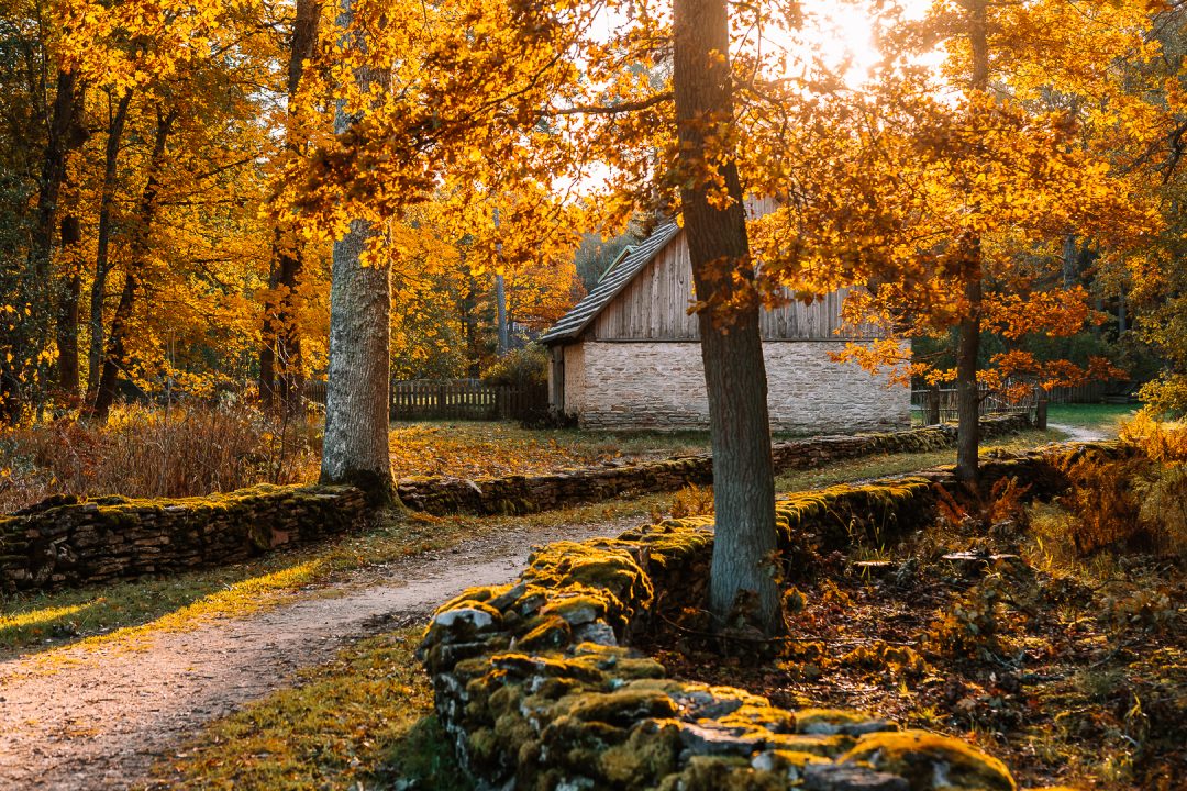 autumn at estonian open air museum